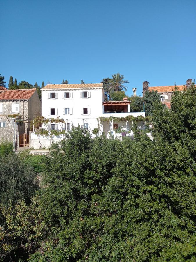 Villa Sea Dream Koločep Gornje Celo Esterno foto