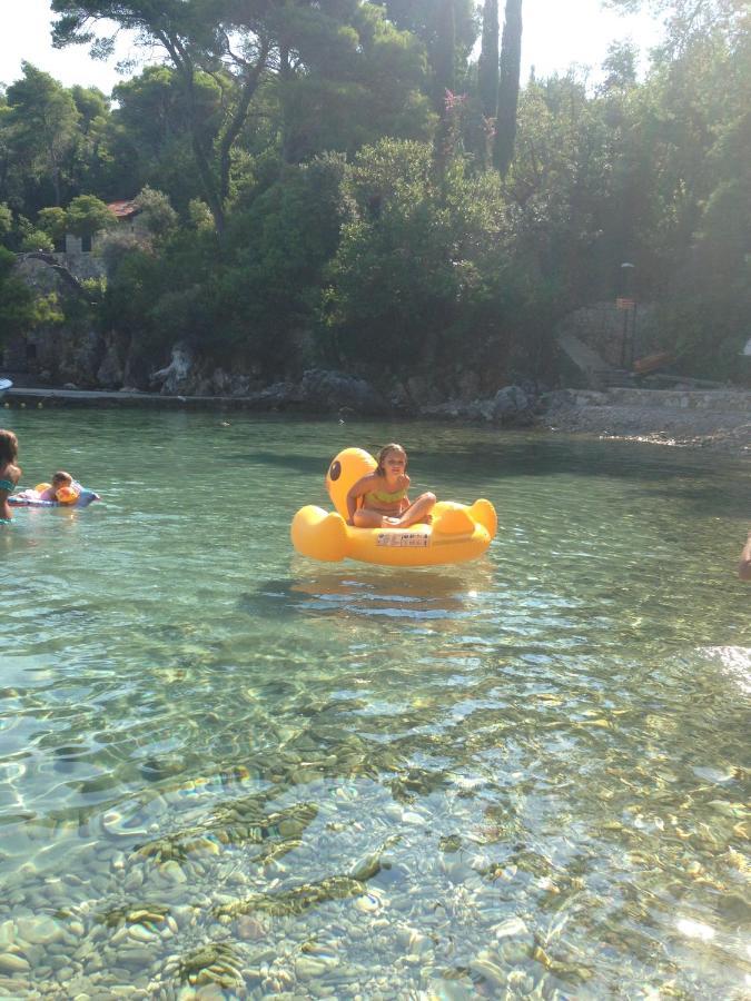 Villa Sea Dream Koločep Gornje Celo Esterno foto