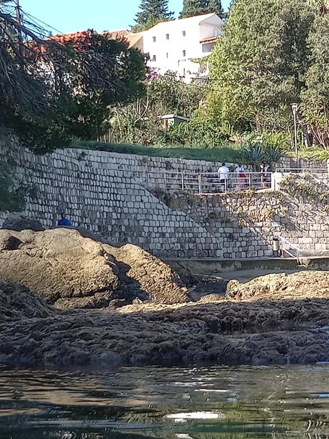Villa Sea Dream Koločep Gornje Celo Esterno foto