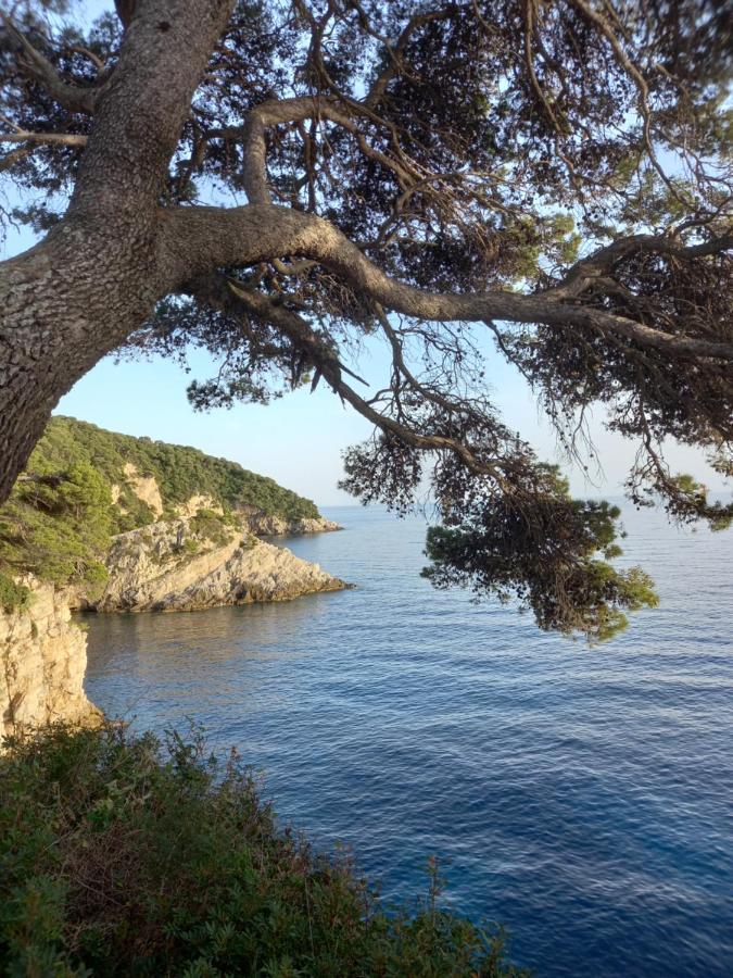 Villa Sea Dream Koločep Gornje Celo Esterno foto