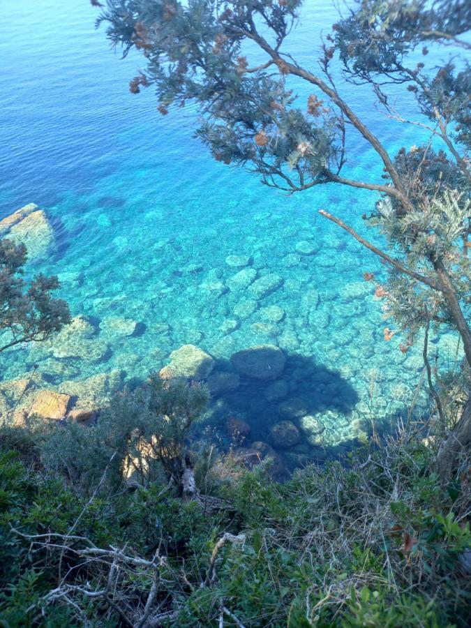 Villa Sea Dream Koločep Gornje Celo Esterno foto