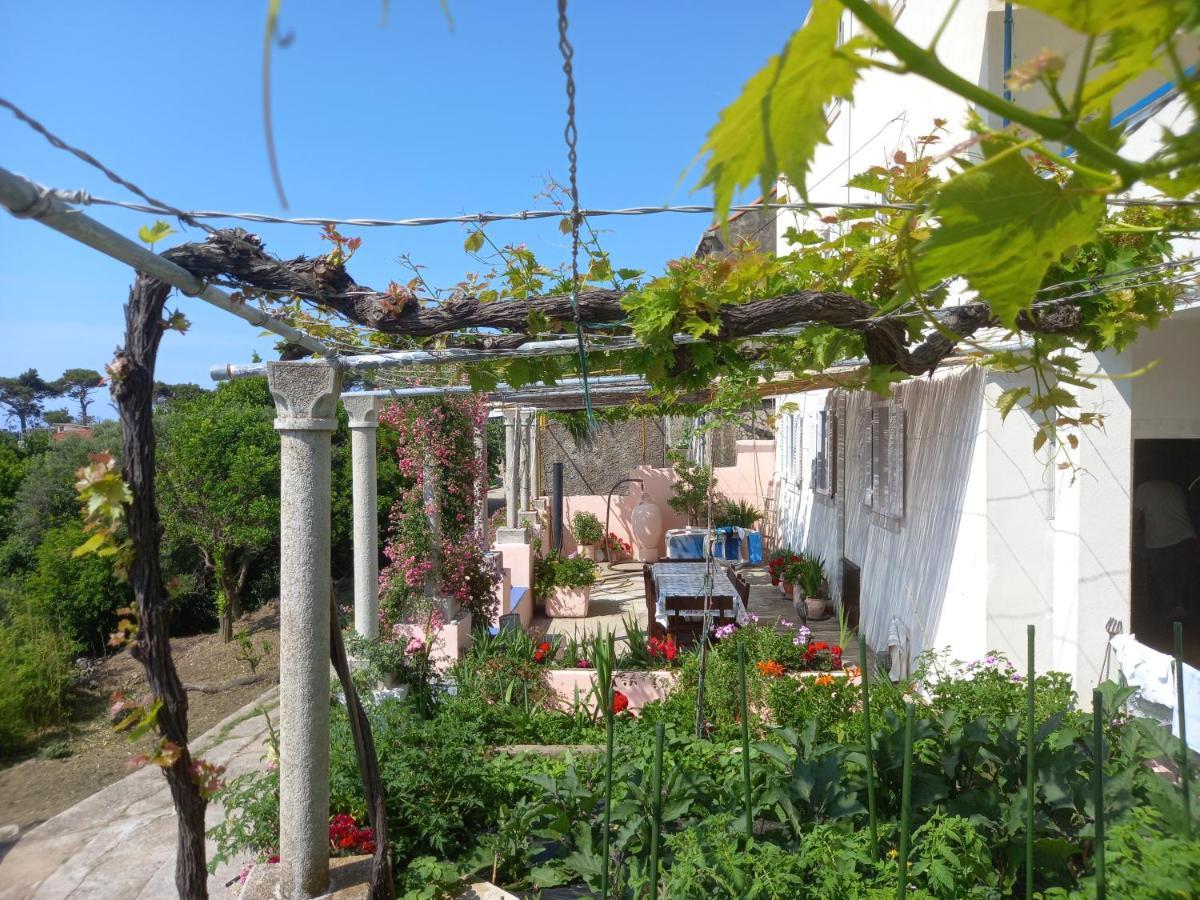Villa Sea Dream Koločep Gornje Celo Esterno foto
