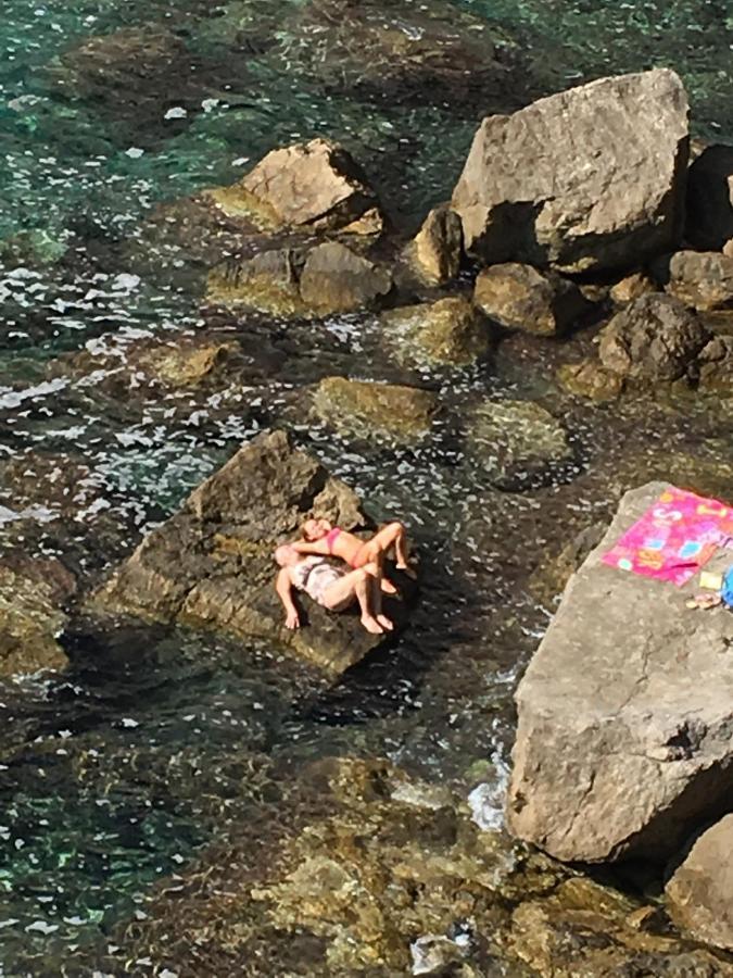 Villa Sea Dream Koločep Gornje Celo Esterno foto