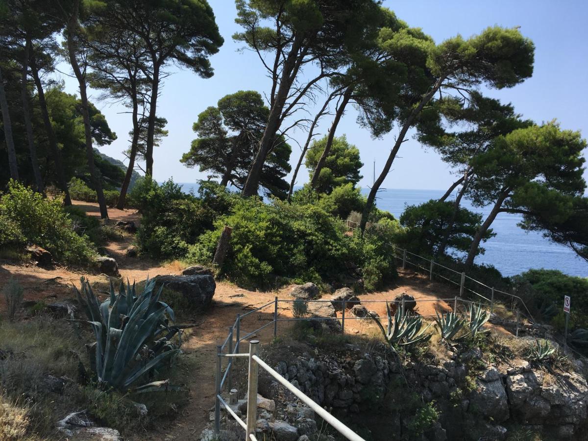 Villa Sea Dream Koločep Gornje Celo Esterno foto