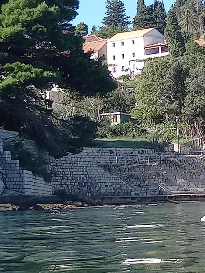 Villa Sea Dream Koločep Gornje Celo Esterno foto