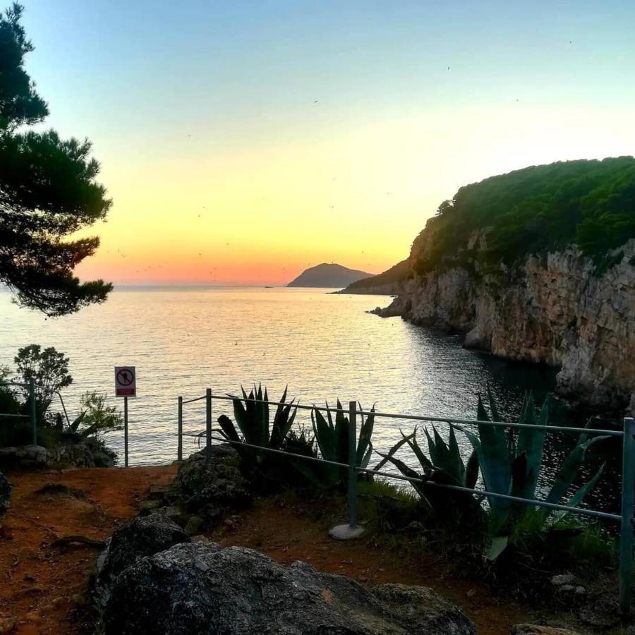Villa Sea Dream Koločep Gornje Celo Esterno foto