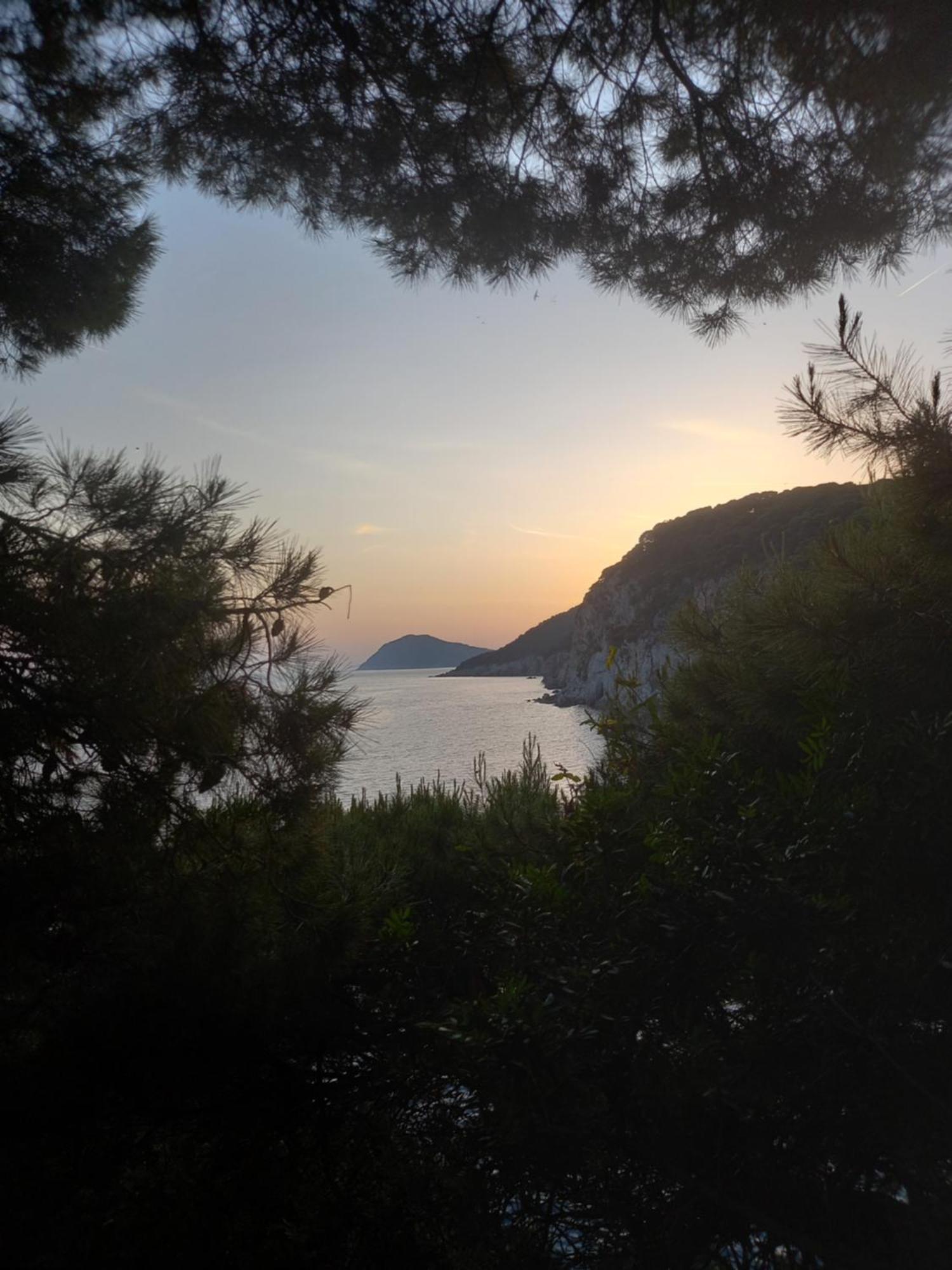 Villa Sea Dream Koločep Gornje Celo Esterno foto